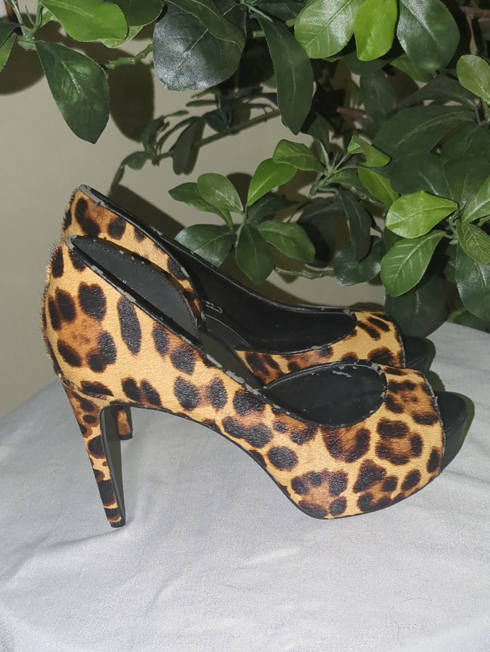 Nine West Leopard Print Peep-Toe Heels - Brown/Black
